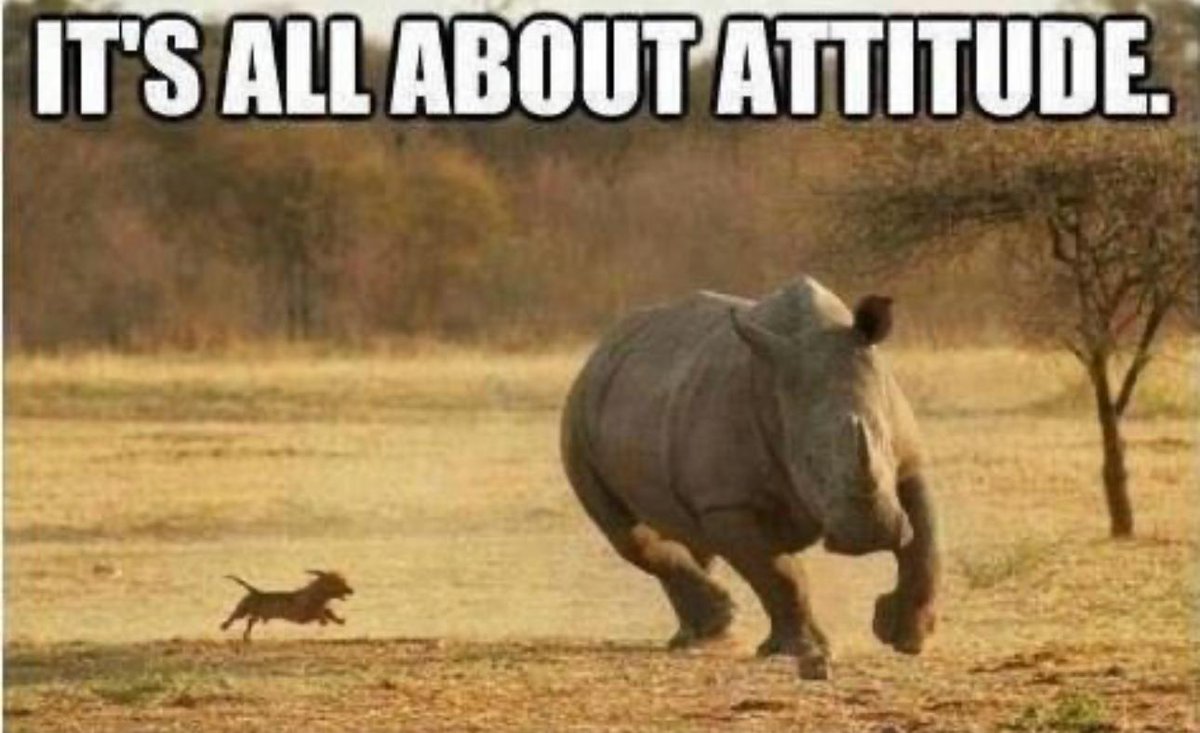 BBXESSEX's tweet image. Wednesday&apos;s thought @MrIanMParker @specialistcars1 @CWMMOTORS @GoConnections @mreynolds7 @b2bessex @richard_NEFI @AmbitiousEssex @bitsyboutiqueuk @confidencenac @LadySadie66 @YLidgate @bbx_uk @SahilMrGreat @JustJackMonroe @YourLittleKanga #Syria