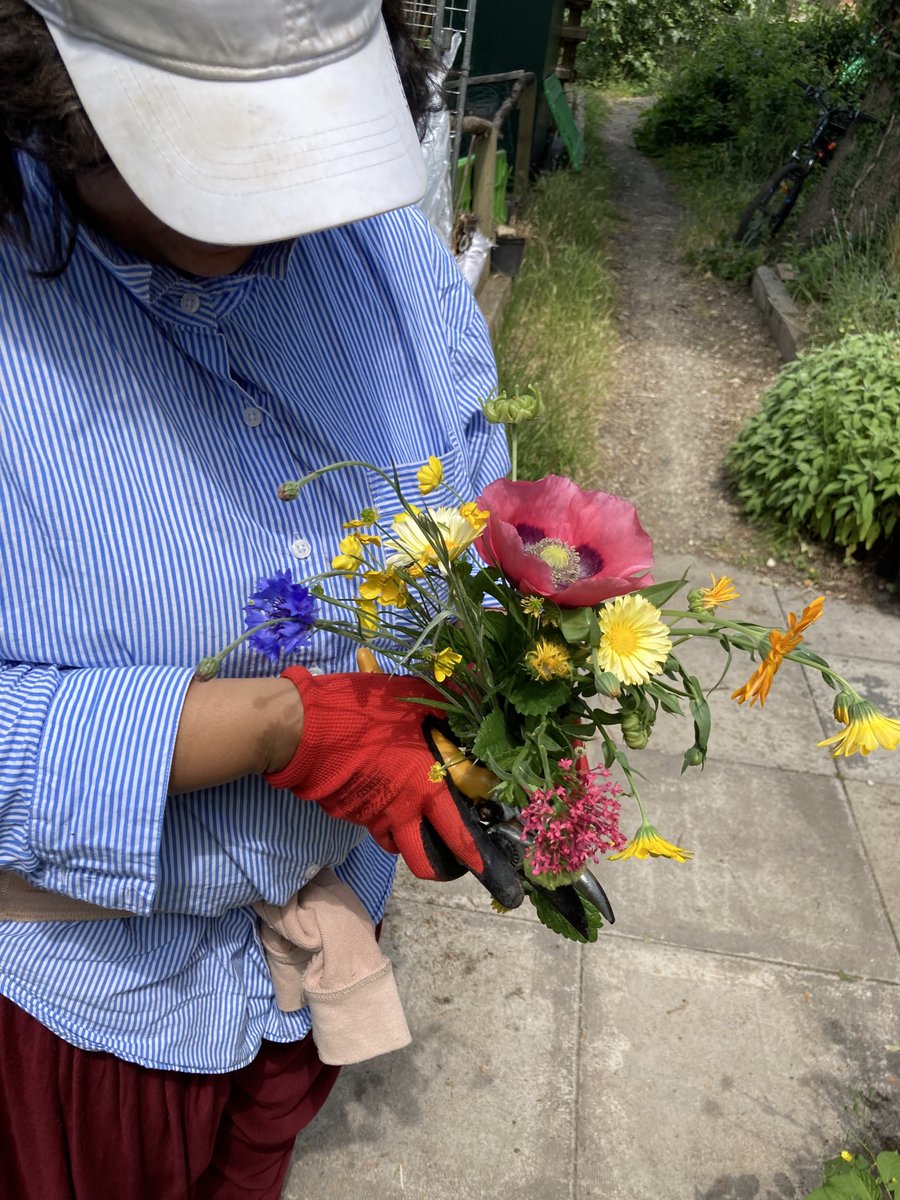 MindFoodCIO.bsky.social tweet media