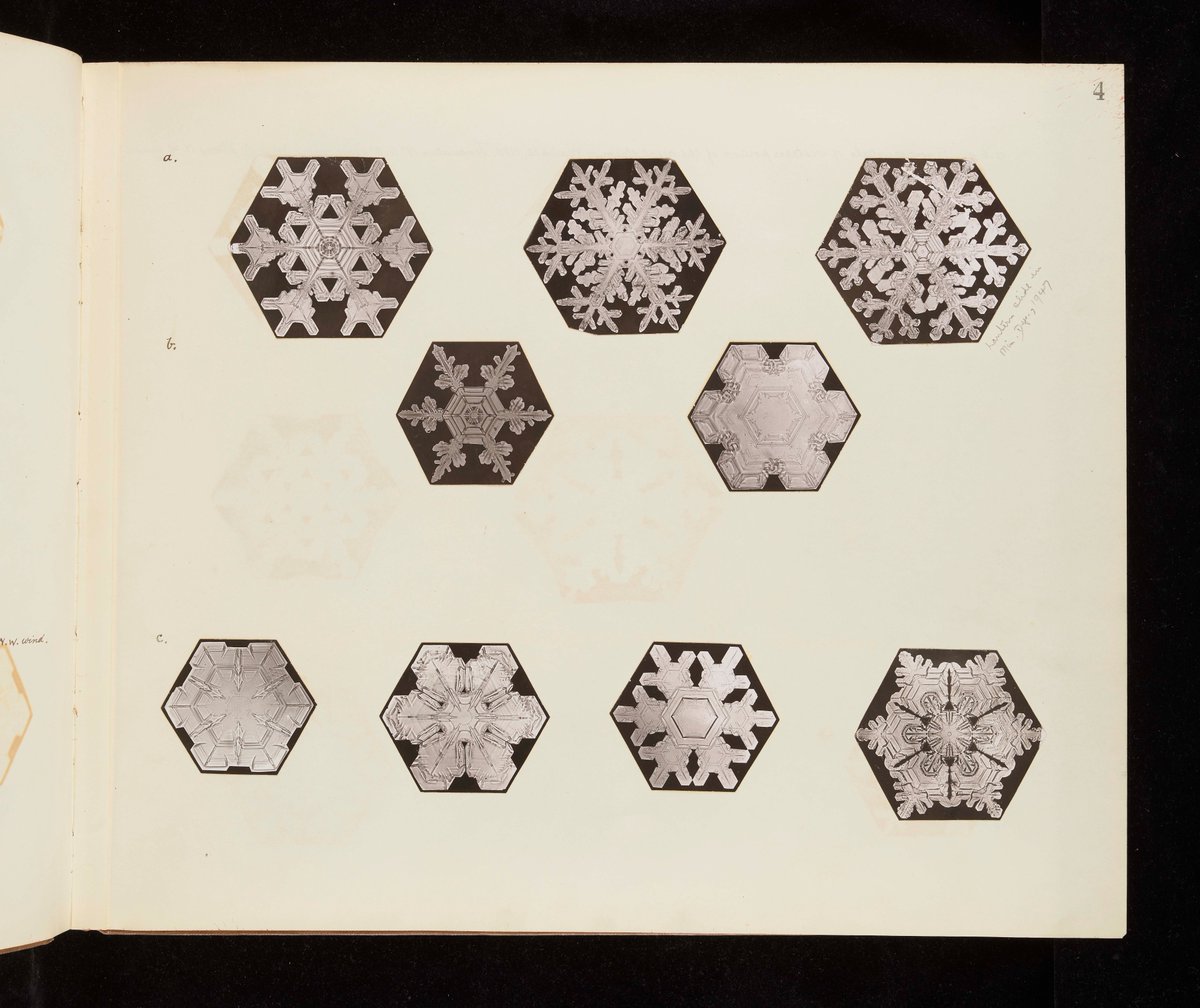 Are you dreaming of a White Christmas? ❄️William Bentley took 5,381 photos of snow crystals. he wrote 'Every crystal was a masterpiece of design and no one design was ever repeated'  in a 1925 report. See the digitised collection online: nhm.primo.exlibrisgroup.com/discovery/full…