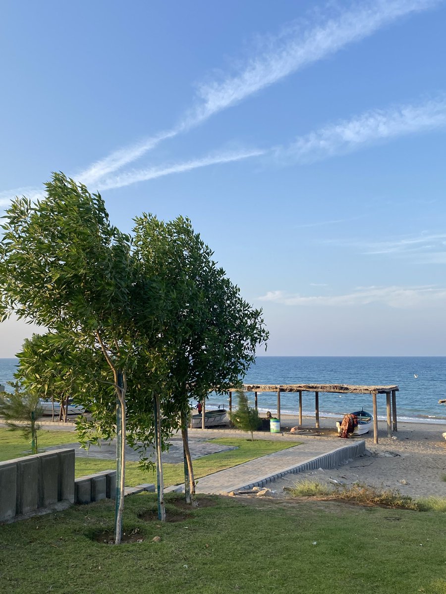 "كرامتك مثل الدواء.. احفظه بعيداً عن متناول الصغار"