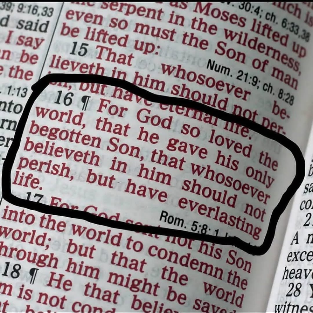 Bible 365 tweet media