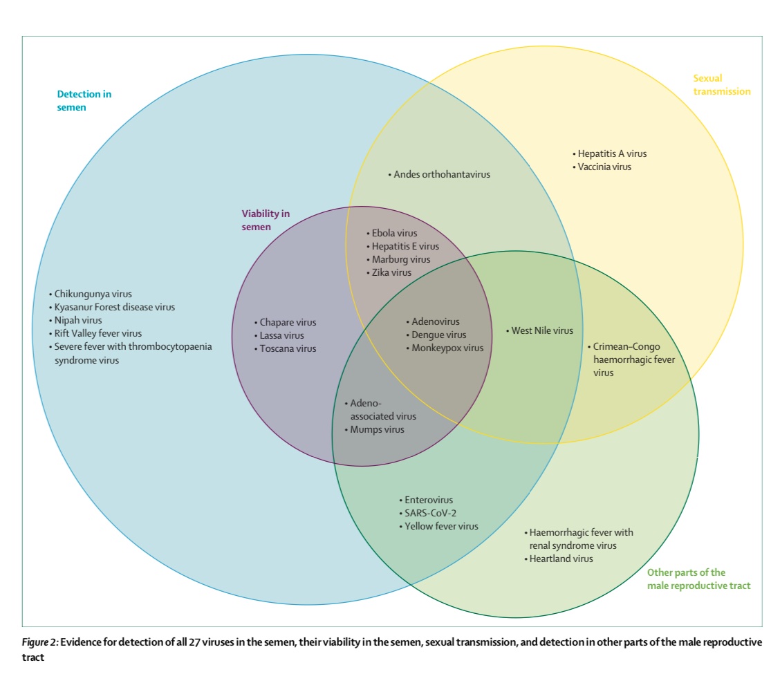 Interesting SR I was part of, published yesterday! Did you know there were so many viruses that have been detected in semen? 🦠