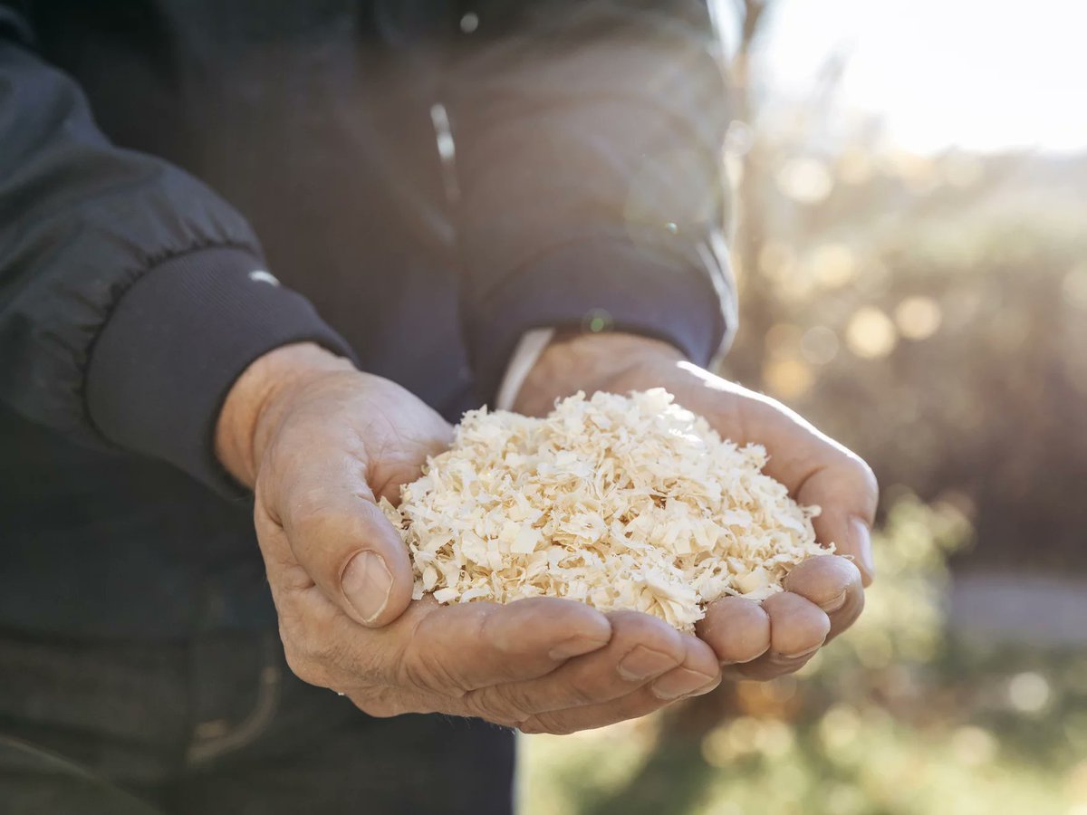 We build with timber as our active contribution to protecting the climate. Unlike bricks and cement that cause unnecessary and harmful CO2 emissions, timber acts as a healthy CO2 reservoir.