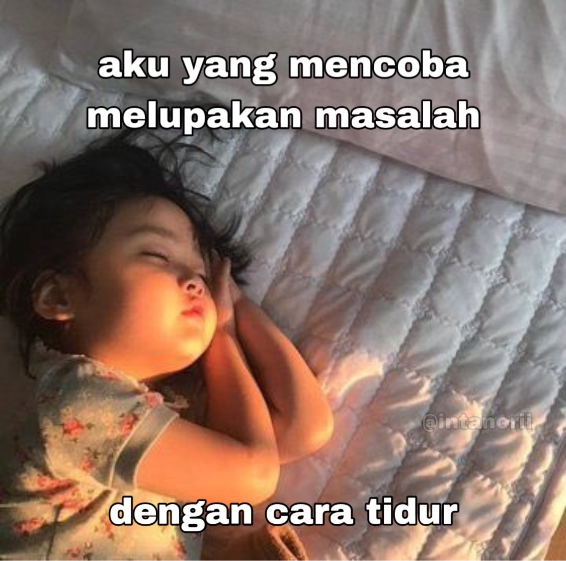 intanorii's tweet image. 