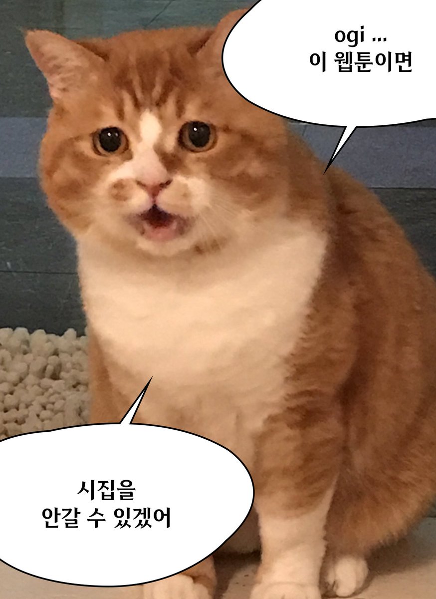 저의 사랑 ogi 작가님의 
성인 헤테로 웹툰이 런칭되었어요~! 
미주의 야릇한 짝사랑 ❤️지켜봐주세요❤️
제발봐줘요잉 다같이 시집가지마

lezhin.com/ko/comic/perfe…