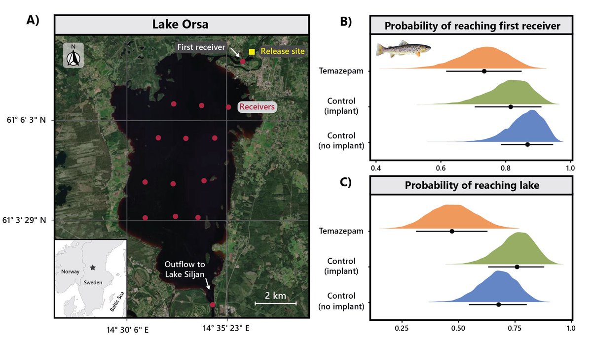 Jack Brand (@jackandrewbrand) on Twitter photo First data paper from my postdoc at <a href="/SLUwildresearch/">SLU Wild Research</a> is now out in Proc B!
We found that psychoactive pollution decreased the migration success of brown trout in a natural lake system! Massive thanks to the coauthor team for their work on this!
Paper 👉 tinyurl.com/yn77u2nb First data paper from my postdoc at <a href="/SLUwildresearch/">SLU Wild Research</a> is now out in Proc B!
We found that psychoactive pollution decreased the migration success of brown trout in a natural lake system! Massive thanks to the coauthor team for their work on this!
Paper 👉 tinyurl.com/yn77u2nb