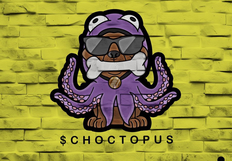 discord.gg/8ghtJMXd 

Missing the action ?? 
#ChoctopusArmy #choctopus #Bullrun2025 #Bullrun2024 
30% gain in my wallet since i buy