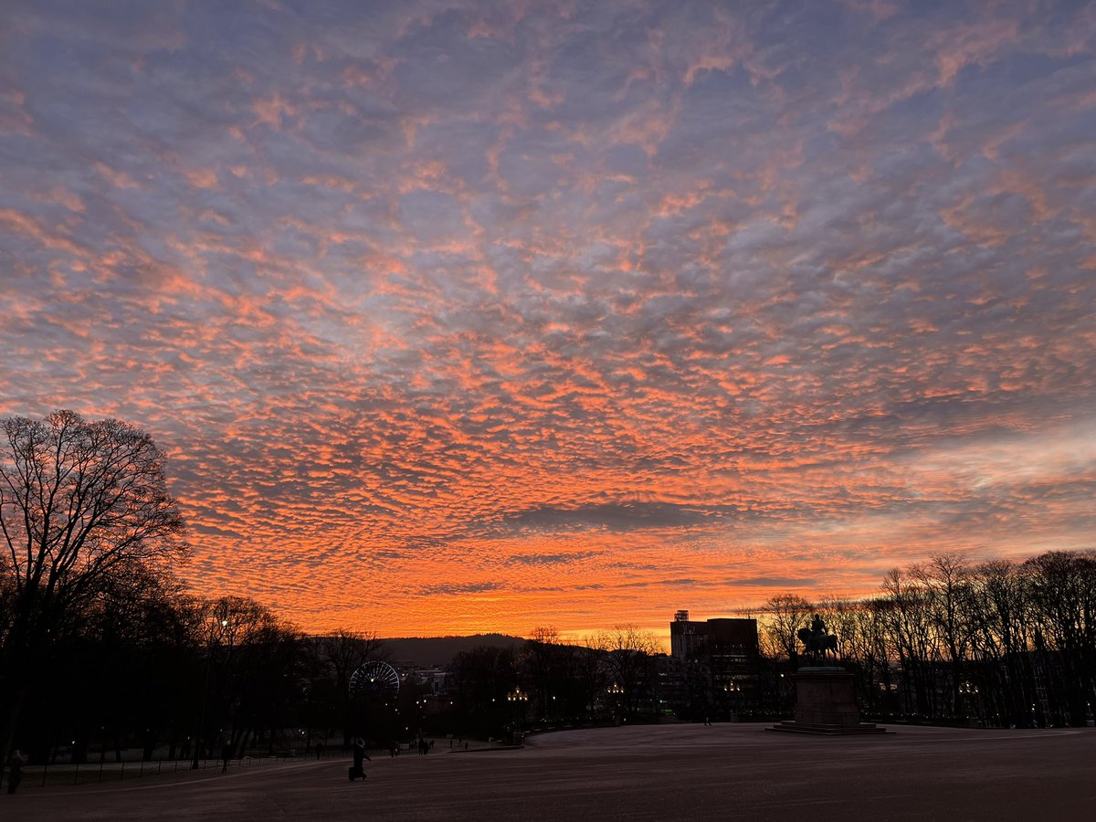 Good morning Oslo!