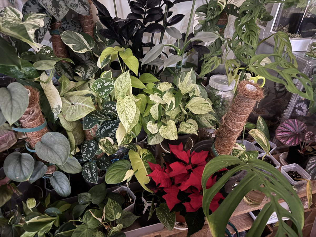 ...?너무 혼자 튄다....