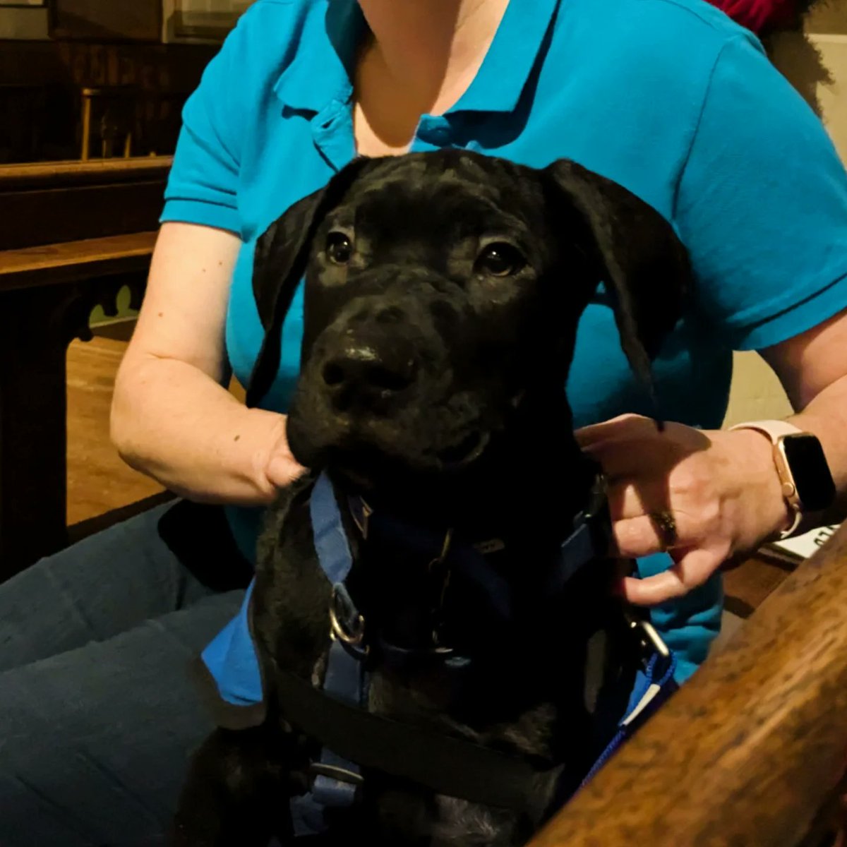 ClassicalTwins's tweet image. So so lovely singing at @Battersea_ beautiful Christmas Carol Concert 💕