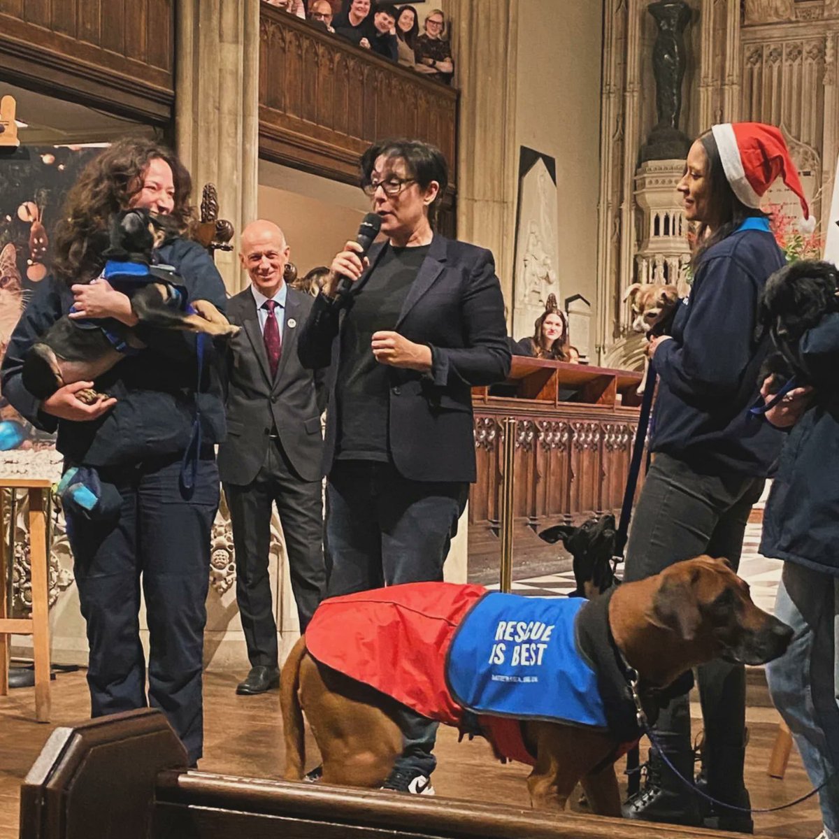 ClassicalTwins's tweet image. So so lovely singing at @Battersea_ beautiful Christmas Carol Concert 💕