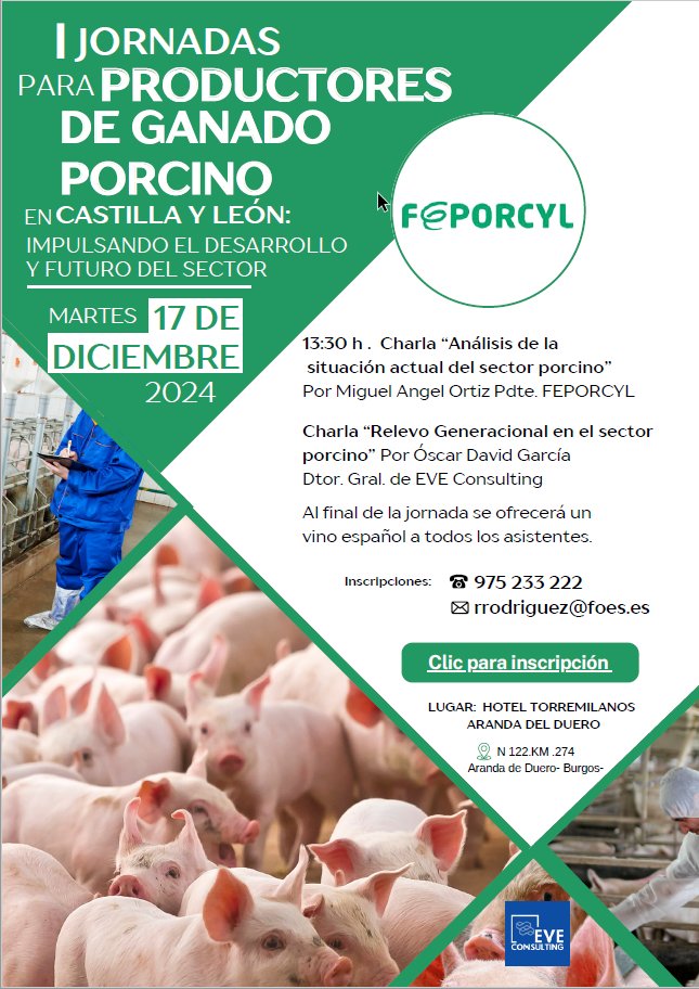 avaporc's tweet photo. 📢 ¡No te pierdas las I Jornadas para Productores de Ganado Porcino en Castilla y León! 🐷
🗓️ Martes 17 de diciembre de 2024
📍 Hotel Torremilanos, Aranda de Duero
Charlas sobre la situación actual y el relevo generacional del sector. 
📲 Inscripciones👉 Más info en el cartel. https://t.co/x0HMvBM7i1