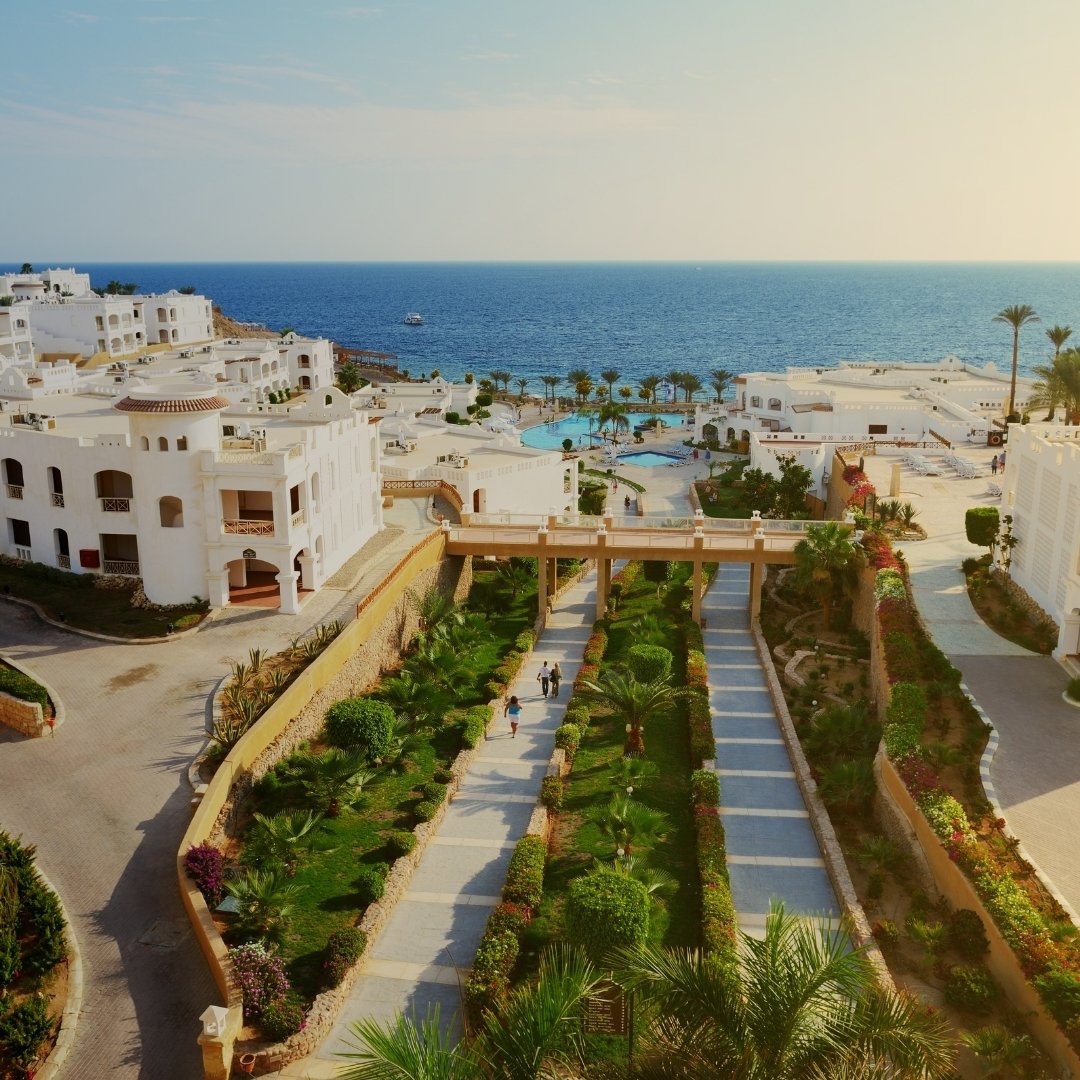 proximoriente's tweet photo. Más que hoteles, experiencias únicas: Confort, lujo y vistas que cuentan historias. Nuestros hoteles transforman cada noche en parte del viaje 🏨✨ Vive Oriente Próximo como nunca antes📲 Descubre más: https://t.co/KLqBrLlCnJ #ViajesDeAutor #OrientePróximo https://t.co/p9x8oc3GG4