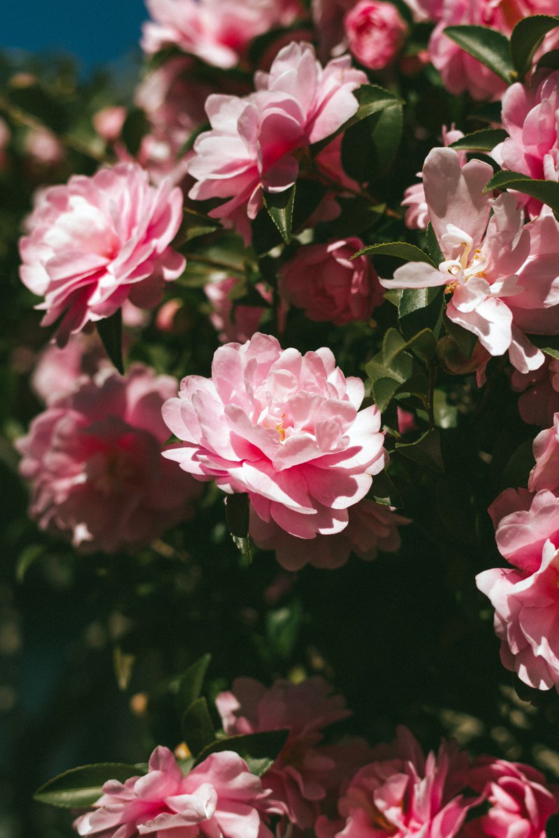 under the atmosphere.