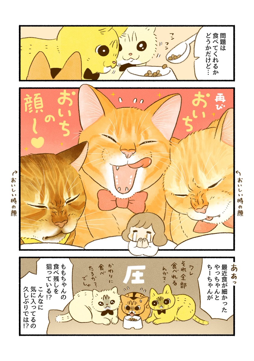 愛猫のすこやか未来のために、タンパク質にこだわったキャットフードを探してみました。
取り合うくらい気に入ってくれてよかった〜!!🐱🐱🐱🙌
詳しくはリプ欄に↓
#PR #ユニ・チャームペット #フィジカライフ 