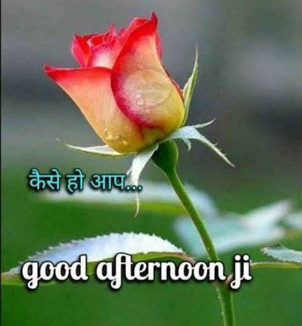 SR Meena tweet media