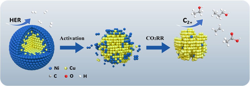Scilight Materials tweet media
