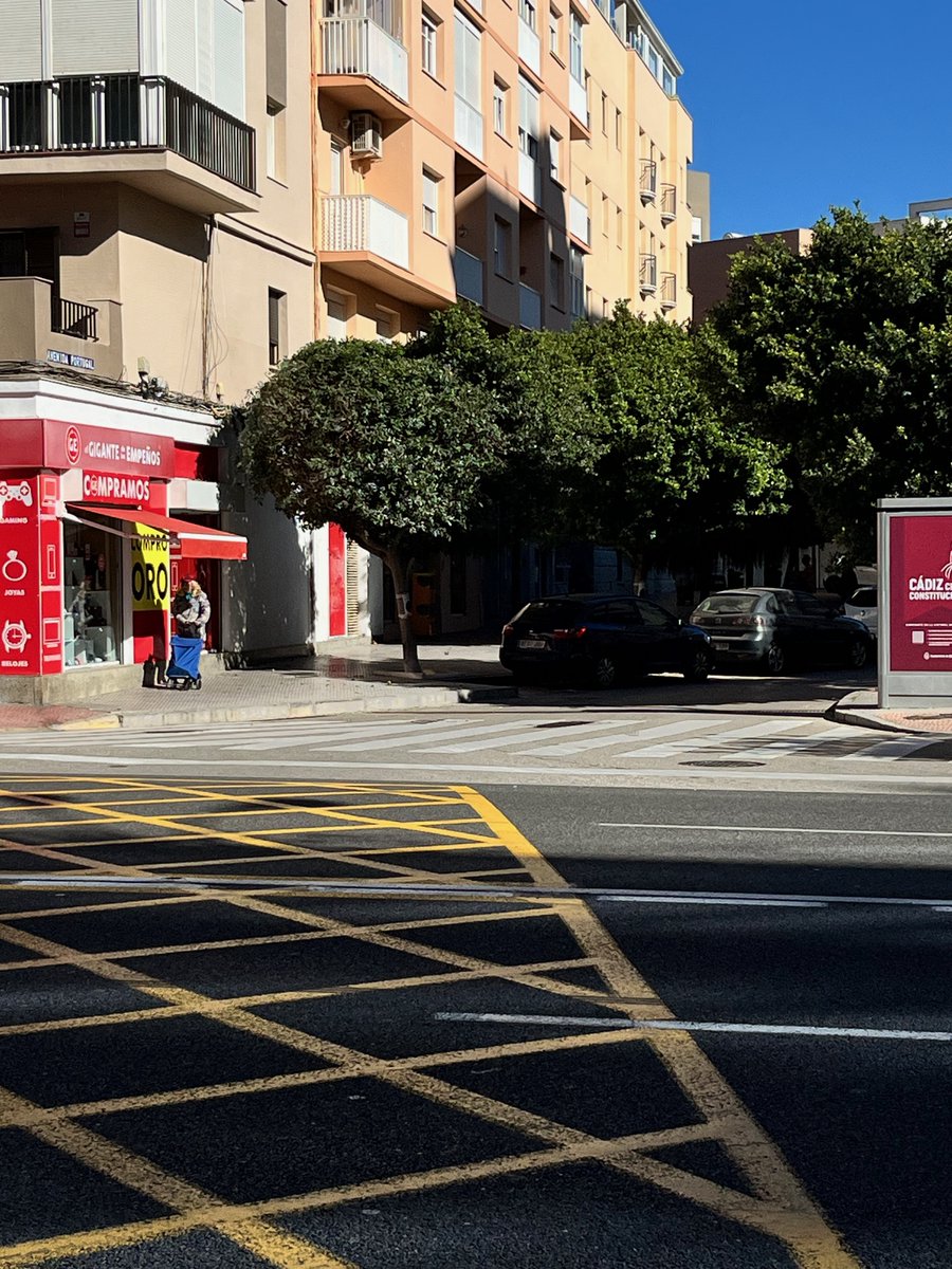 karles43's tweet photo. @jctbcdz buenos dias, no se si sera posible dar solución   a los arboles que están frente al nº1 de la Avda. de Portugal, sus ramas están muy bajas y llenitos de Cochinilla algodonosa, algunos con bolsas de basuras, estas fotos son de ayer tarde. https://t.co/s5uAAtjZ7x