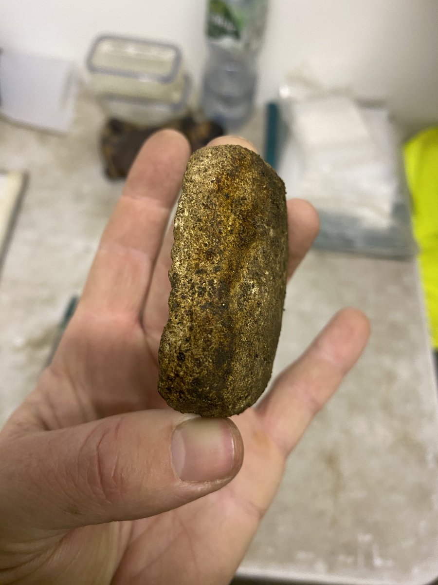 Paul Duffy (@pdufaigh) on Twitter photo Any ideas medievalists? 2nd one of these I’ve seen…sandstone frag riddled with small holes. L12/E13thC context, Dublin <a href="/IACArchaeology/">IAC Archaeology</a> <a href="/SocMedArch/">Medieval Archaeology</a> <a href="/ucdarchaeology/">UCD Archaeology, Dublin</a> <a href="/irarchaeology/">Irish Archaeology</a> <a href="/AbartaGuides/">Abarta Heritage</a> <a href="/FMDublin/">The Friends of Medieval Dublin</a> @DH_Age Any ideas medievalists? 2nd one of these I’ve seen…sandstone frag riddled with small holes. L12/E13thC context, Dublin <a href="/IACArchaeology/">IAC Archaeology</a> <a href="/SocMedArch/">Medieval Archaeology</a> <a href="/ucdarchaeology/">UCD Archaeology, Dublin</a> <a href="/irarchaeology/">Irish Archaeology</a> <a href="/AbartaGuides/">Abarta Heritage</a> <a href="/FMDublin/">The Friends of Medieval Dublin</a> @DH_Age