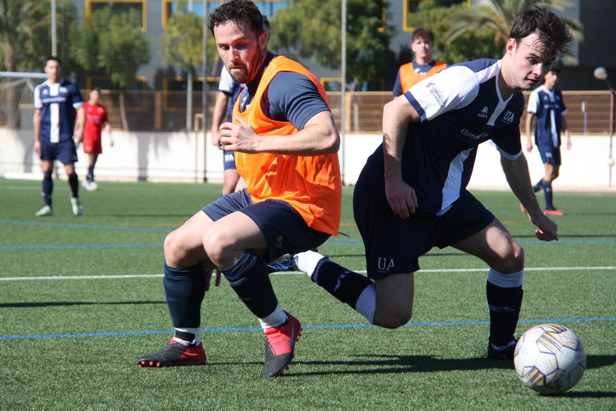 Universidad de Alicante UA tweet media