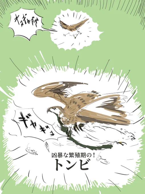 ニワトリが襲撃された日の漫画 2/2 おわり 