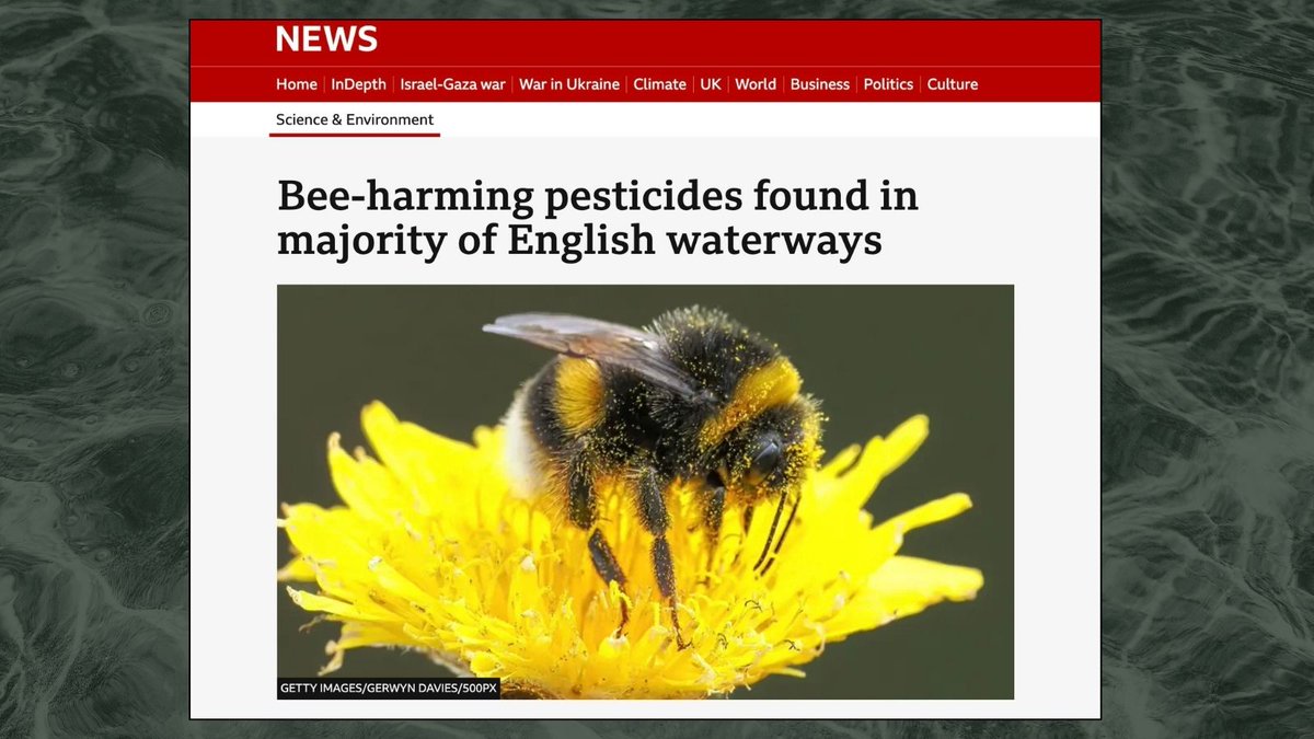RiverActionUK's tweet image. Tell supermarkets to STOP using toxic pesticides! ☠️

New @PAN_UK ranking reveals that the UK’s top 10 supermarkets urgently need to end their use of #neonics.

Ask them to take action today for the sake of UK biodiversity.👇 #RescueBritainsRivers
pan-uk.eaction.org.uk/supermarket-pe…