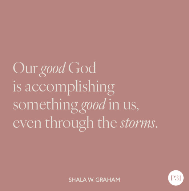 ShellsheBeans's tweet image. 