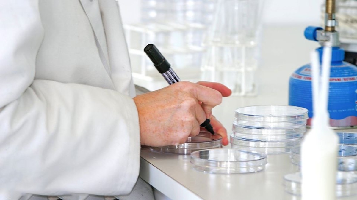 Faroese research spending rises but lags behind Nordic nations; businesses lead innovation as public and academic contributions shrink 📷 read the story: bitl.to/3MM5
#faroes #statistics #research Hagstova Føroya