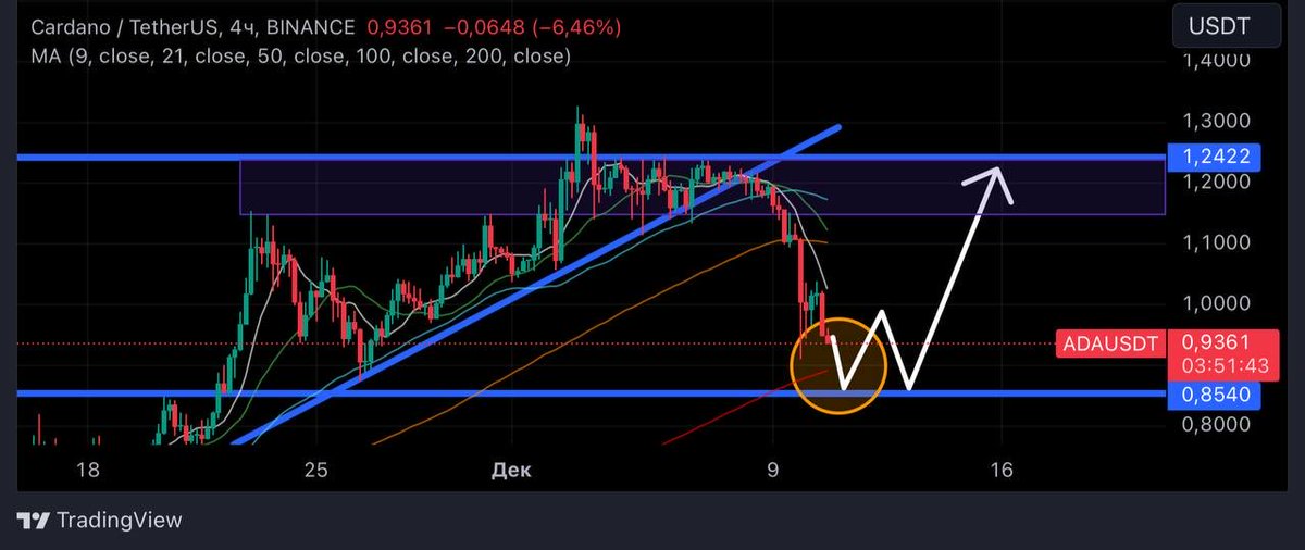Loyal Crypto tweet media