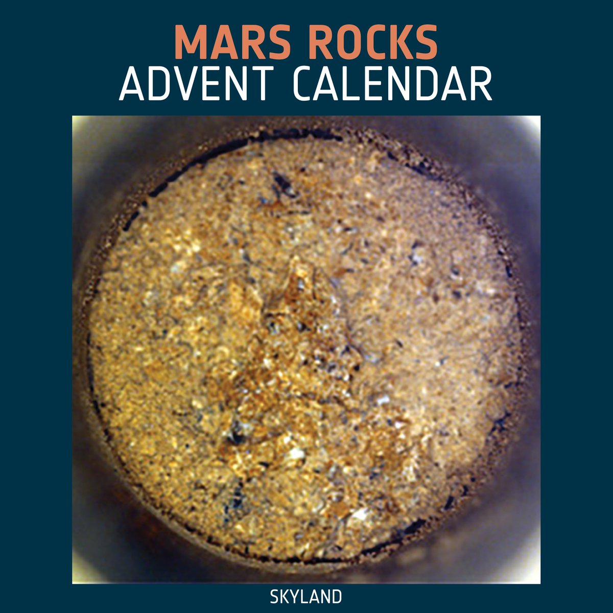 Human Spaceflight tweet media