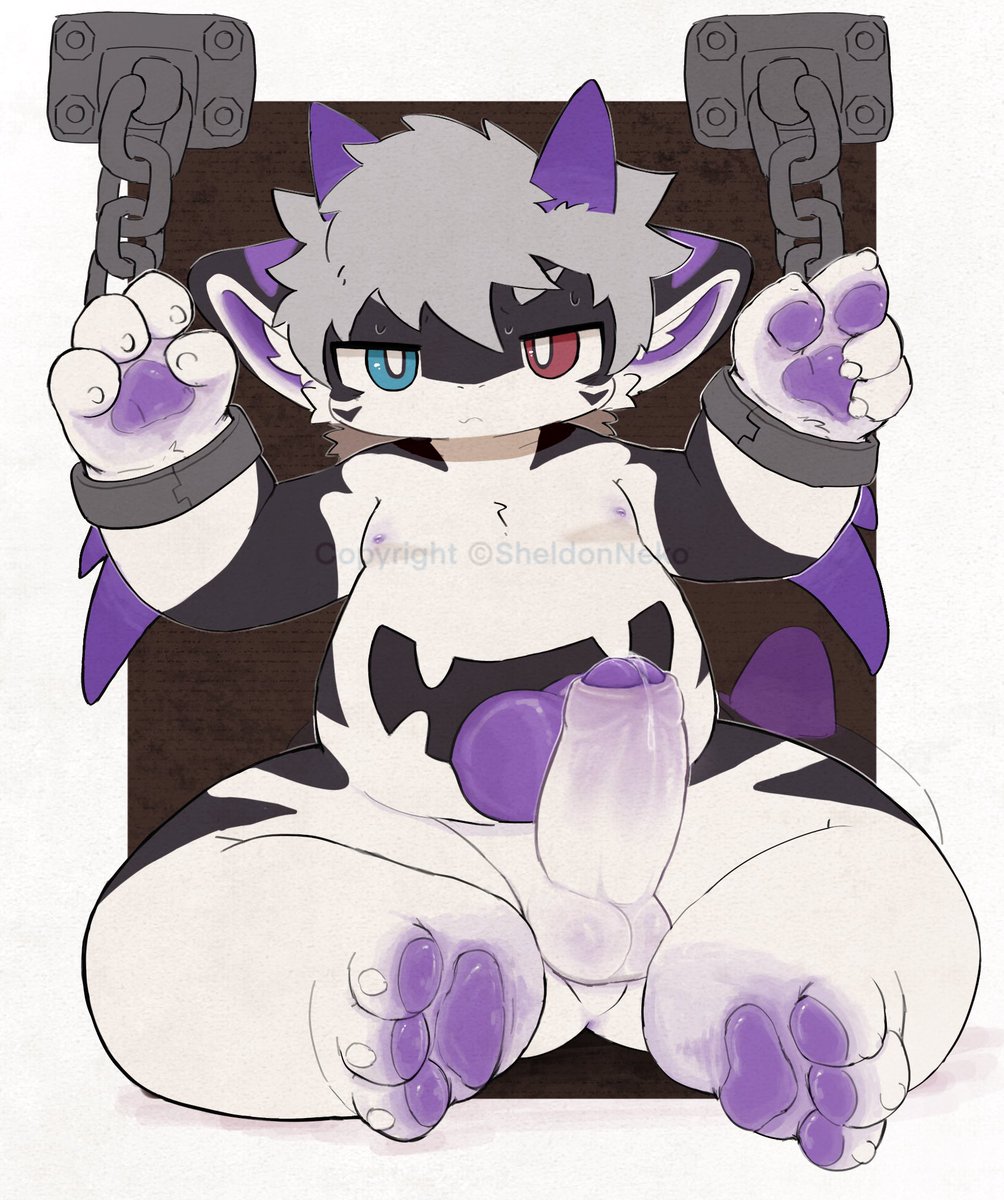 Sheldon🐈🔜绒爪兽聚FurPaw tweet media