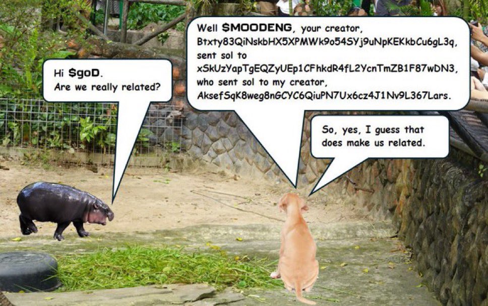 carti_cee's tweet photo. @cryptogems555 How about a meme with an on-chain conection to  #Moodeng?

Check out $goD on #Solana. The creator has connections to the $MOODENG creator.

TG: https://t.co/8cMoFntN8x

CA: 6ftdyLSJtA25seKjsUBZCQBpfGXt8PP5B8G5bkhupump https://t.co/qfd7cr9EWY