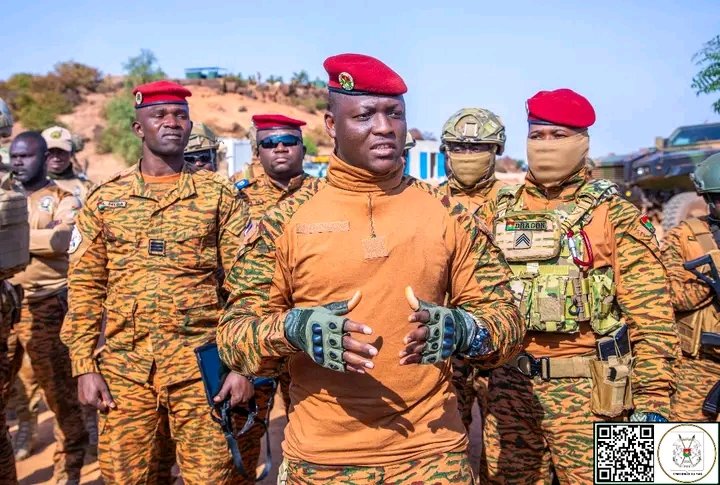 Lionne du Sahel tweet media