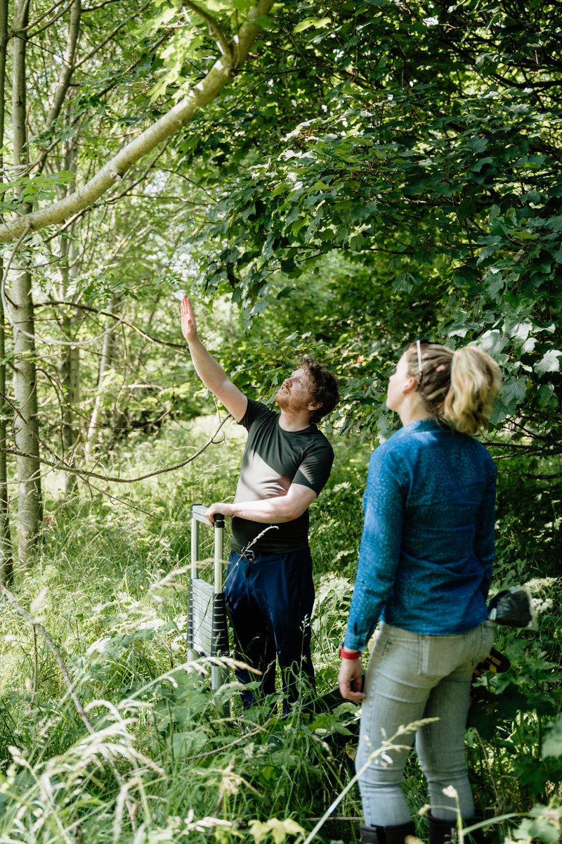 FoundationSRM's tweet photo. Want to get involved at #WatersideFarmRGU?🌍

There will be opportunities to volunteer at the project, with events due to take place on 12 &amp; 19 December.

Register your interest via email: WatersideFarm@rgu.ac.uk

Discuss more opportunities with us: inquiries@srmfoundation.co.uk https://t.co/BWBgWhR5Fa