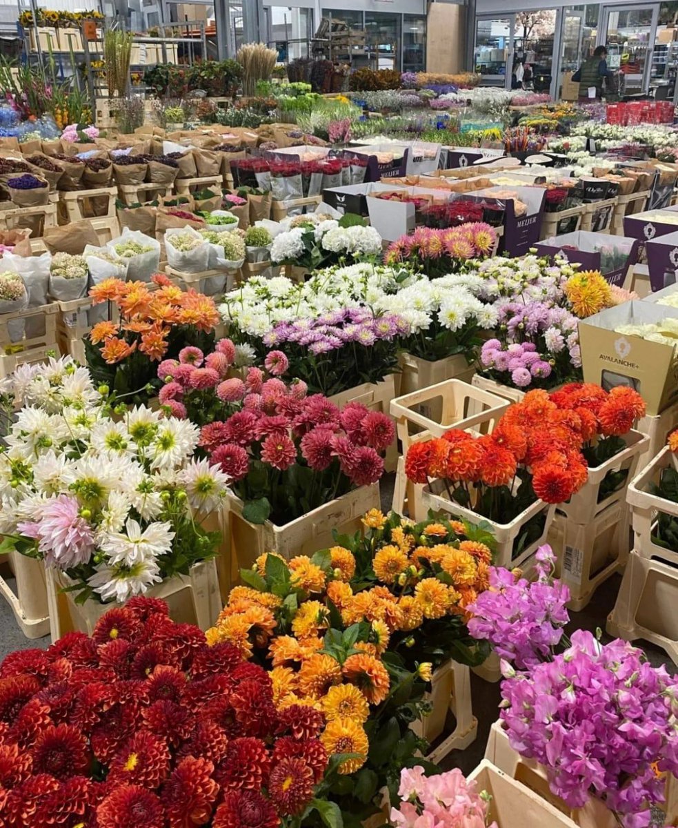 komplex06's tweet image. Where flowers bloom, so does hope ❤️💐
—Lady Bird Johnson—