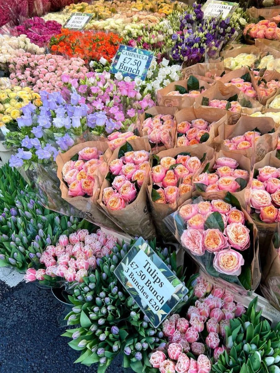 komplex06's tweet image. Where flowers bloom, so does hope ❤️💐
—Lady Bird Johnson—