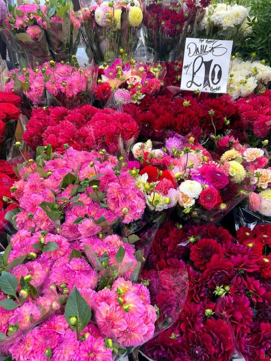 komplex06's tweet image. Where flowers bloom, so does hope ❤️💐
—Lady Bird Johnson—