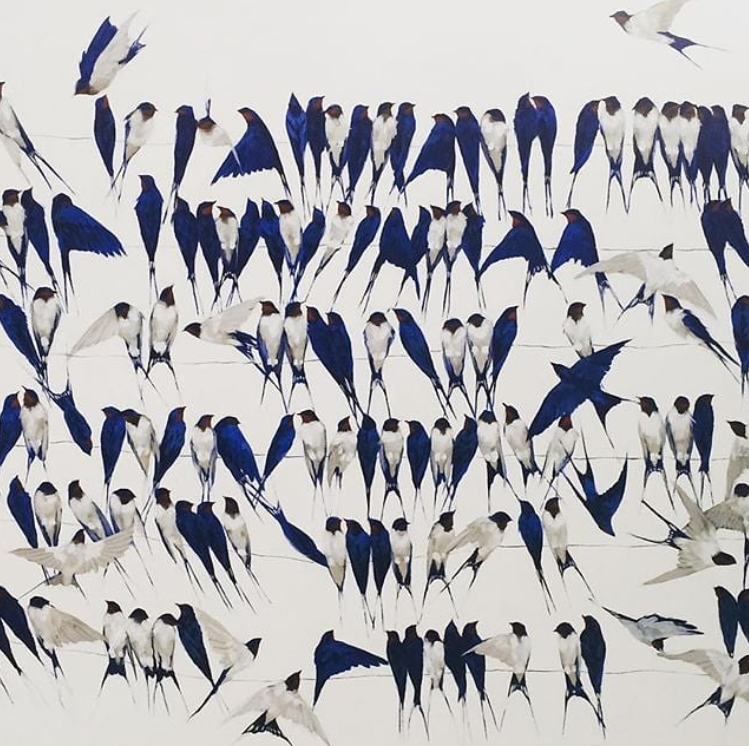 Brindille_'s tweet photo. Swallows, 2020
© Kirsty May Hall https://t.co/jB2Tit7Wrx