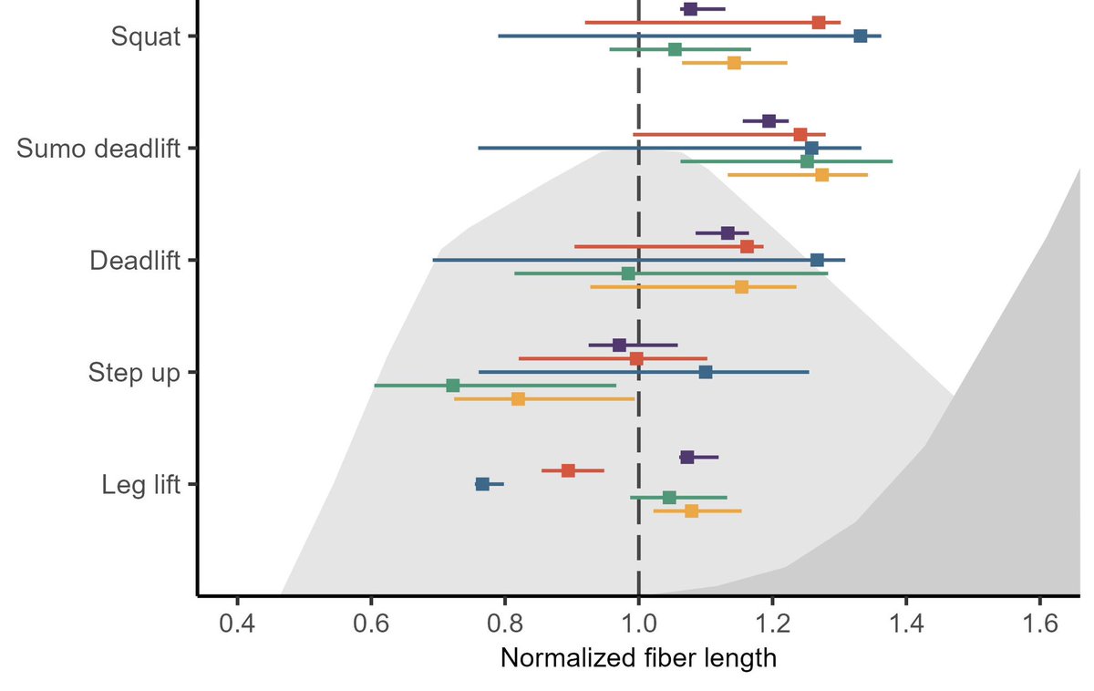 Nice. Considering the force-length operating range of an exercise might be useful for hypertrophy.

The second part to consider is when long lengths correspond with high external joint torques - otherwise you’re just stretching.

Combined active + passive = optimal stimulus?