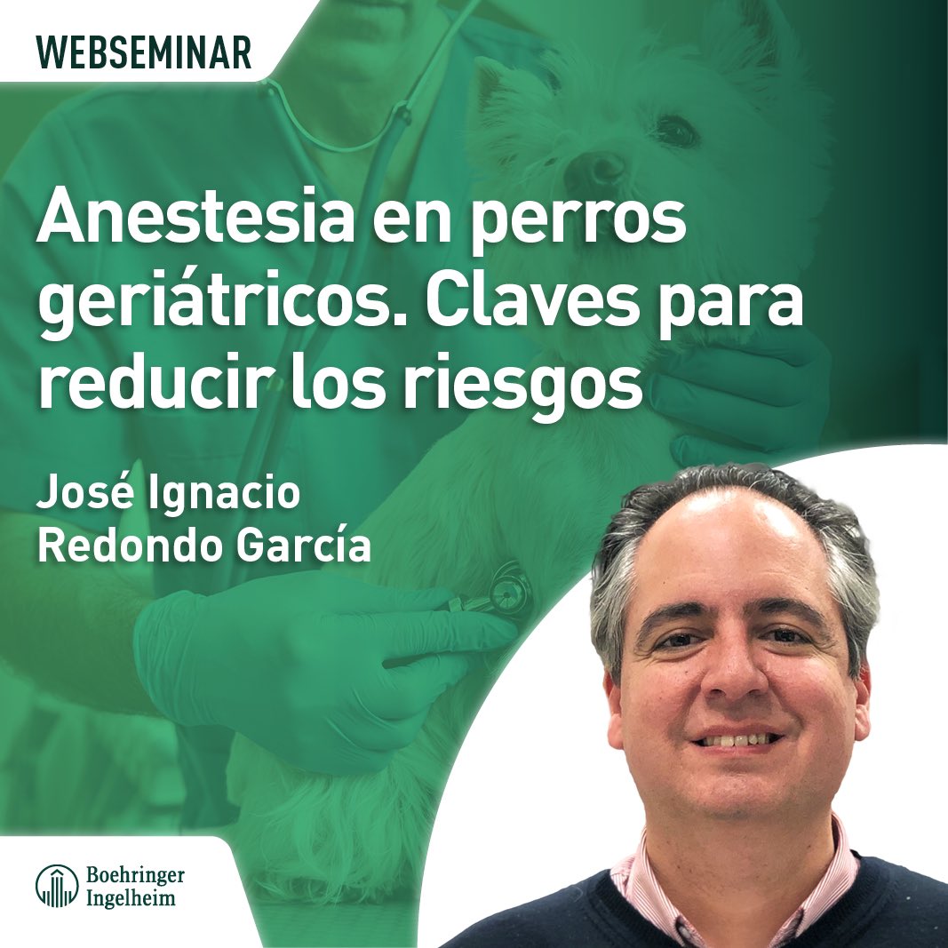 El próximo miércoles 18 de diciembre imparto un seminario online y gratuito sobre #anestesia en #perros #geriátricos 🐶💉🩺

Información e inscripción en el enlace 🔗

formacion.grupoasis.com/curso/1846-ane…