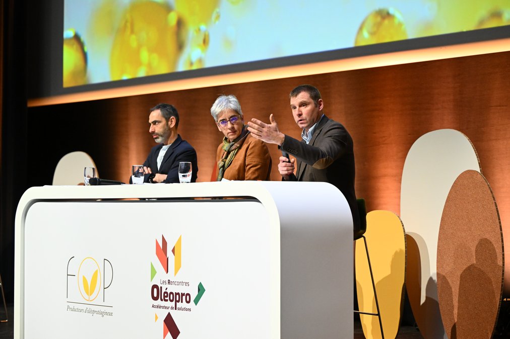 Un grand chantier a été lancé pour relancer la culture du #pois
👉 échanges avec producteurs, OS, semenciers, institut technique…
👉 identification des freins et des intérêts du pois 
👉 pistes potentielles et leviers d'actions
👉 Programme Pea4ever
#OleoPro2024 #AGFop