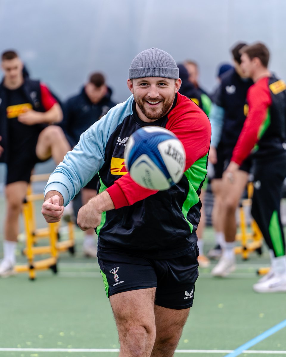 Harlequins 🃏 tweet media