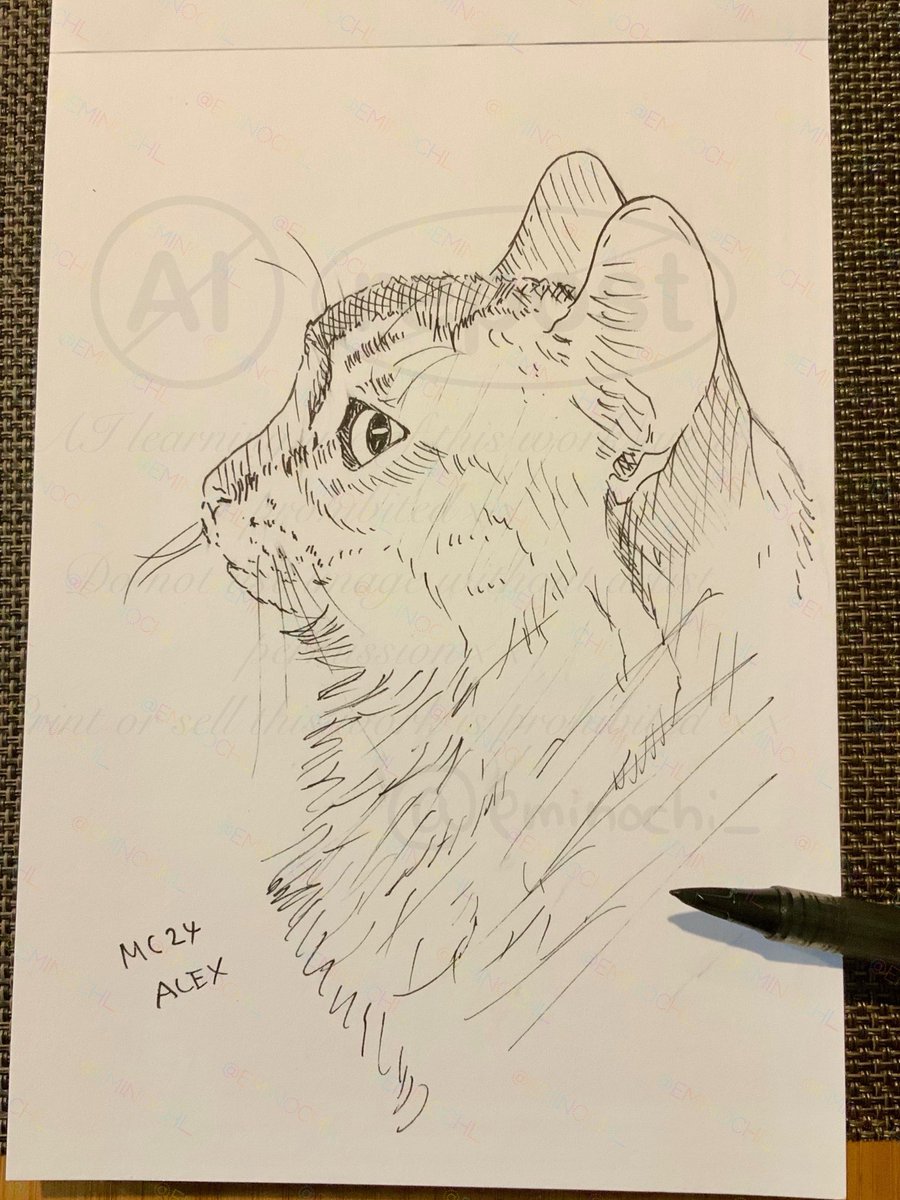 ウチの猫スケッチ24🐈🎨

正面から見たら三角？楔形？の顔なんですが
横顔は結構たぬき…
正面もはみ出した毛とおなかのポンポコリンでだいぶアレだけども、、、可愛いねあーちゃん