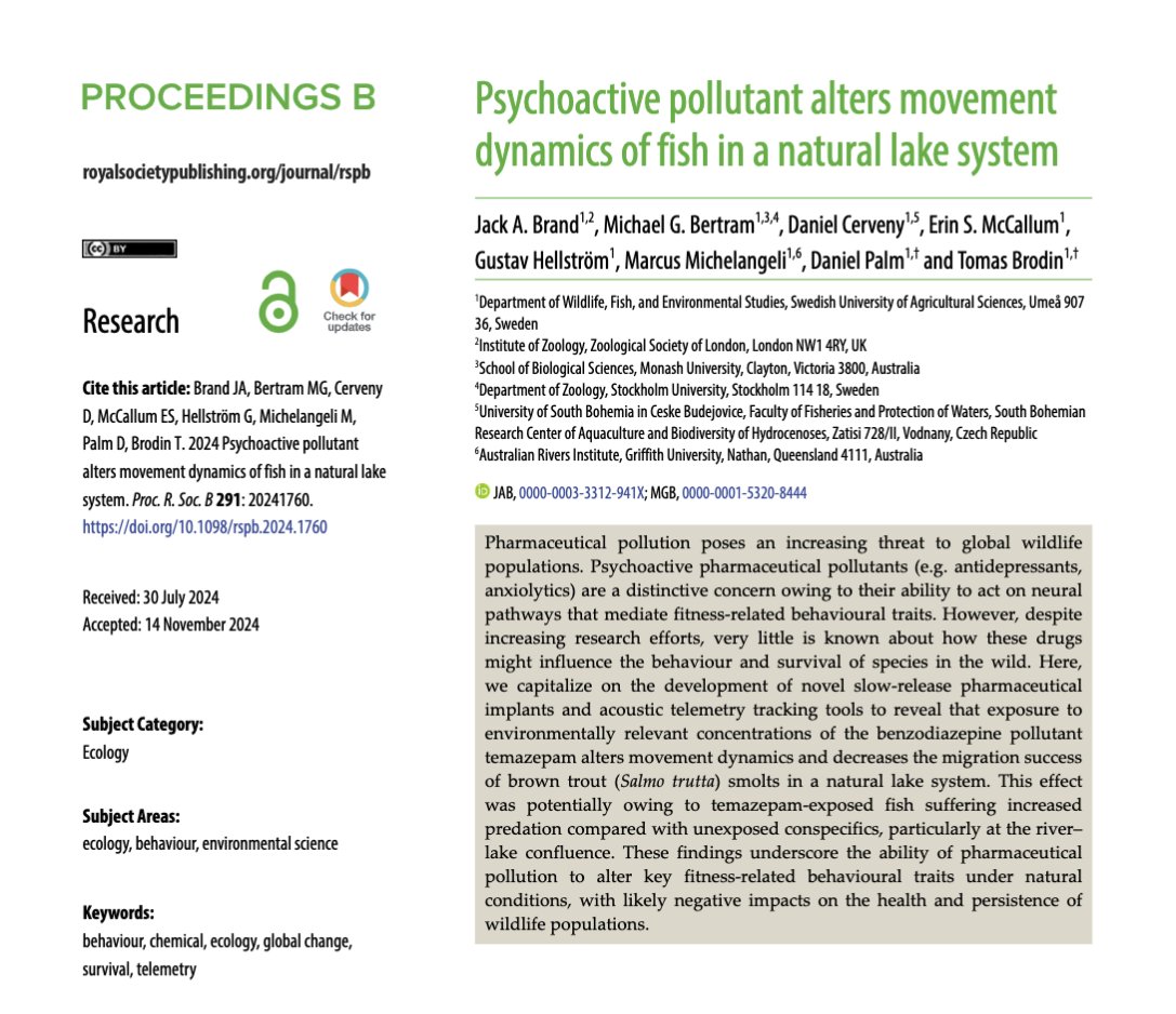Michael Bertram (@michaelgbertram) on Twitter photo Environmentally realistic levels of drug pollution change fish behaviour and decrease migration success in the wild 🐟💊
Super proud to share our new paper out today in Proceedings B, led by the amazing <a href="/JackAndrewBrand/">Jack Brand</a>
royalsocietypublishing.org/doi/10.1098/rs… Environmentally realistic levels of drug pollution change fish behaviour and decrease migration success in the wild 🐟💊
Super proud to share our new paper out today in Proceedings B, led by the amazing <a href="/JackAndrewBrand/">Jack Brand</a>
royalsocietypublishing.org/doi/10.1098/rs…