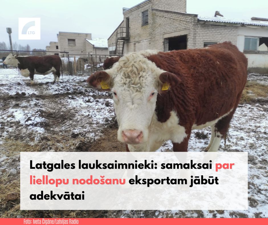 📢 Lauksaimnieki joprojām neatbalsta Zemkopības ministrijas ieceri par liellopa eksporta sertifikātu un par Pārtikas un veterinārā dienesta inspektora darbu maksāt nevis par stundām, bet gan par katru eksportam sagatavoto dzīvnieku. 
ej.uz/liellopu-nodos…