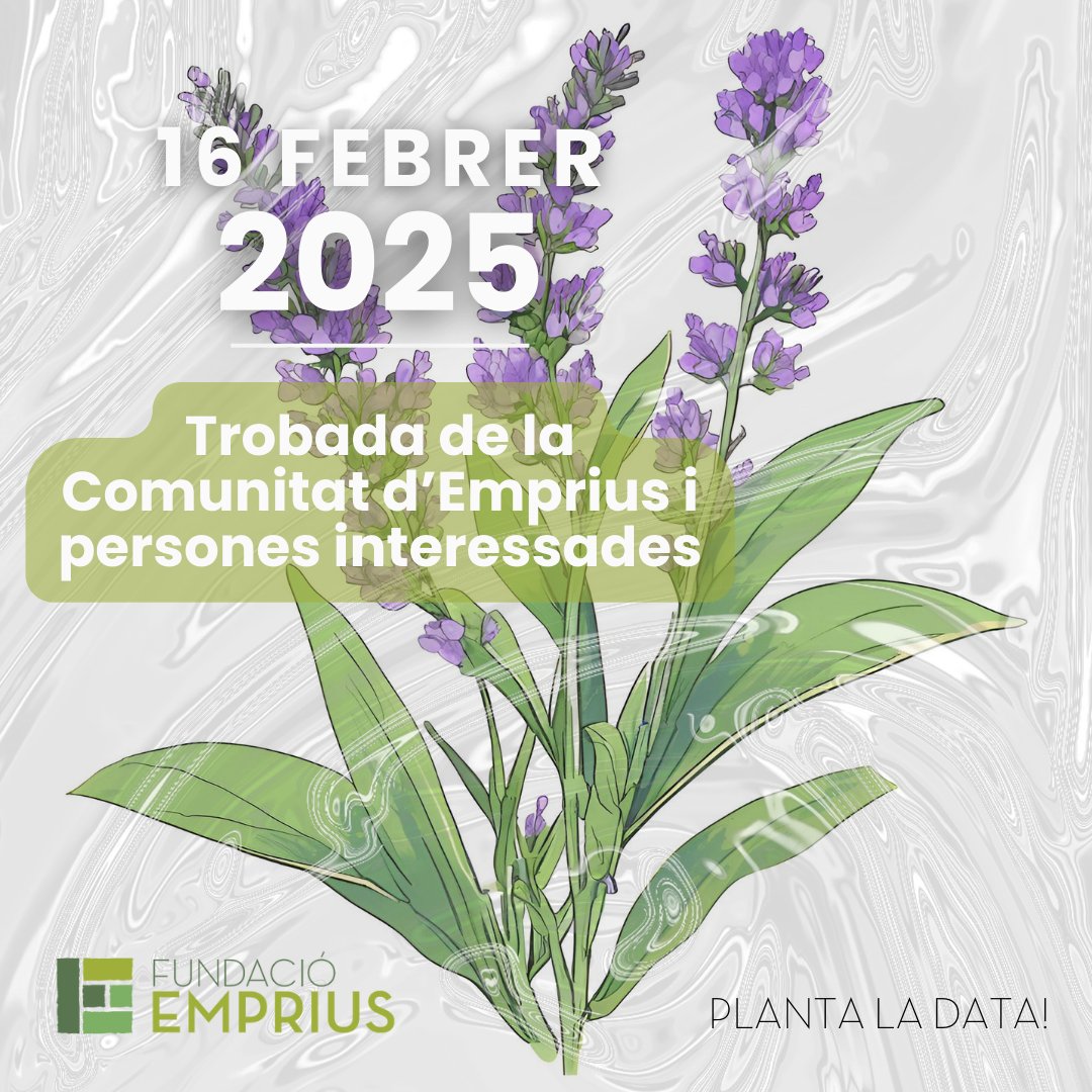 Trobada 2025 de la Comunitat d'Emprius i persones interessades

🗓 Diumenge 16 de febrer

🌱 Planta la data!

emprius.cat/trobada-2025