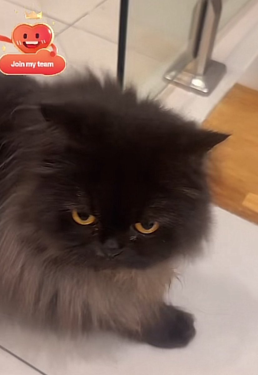 maggiekt_'s tweet image. cutey ng dalawang bunso na ito 😭😭😭

@justintdedios #justin #timtim