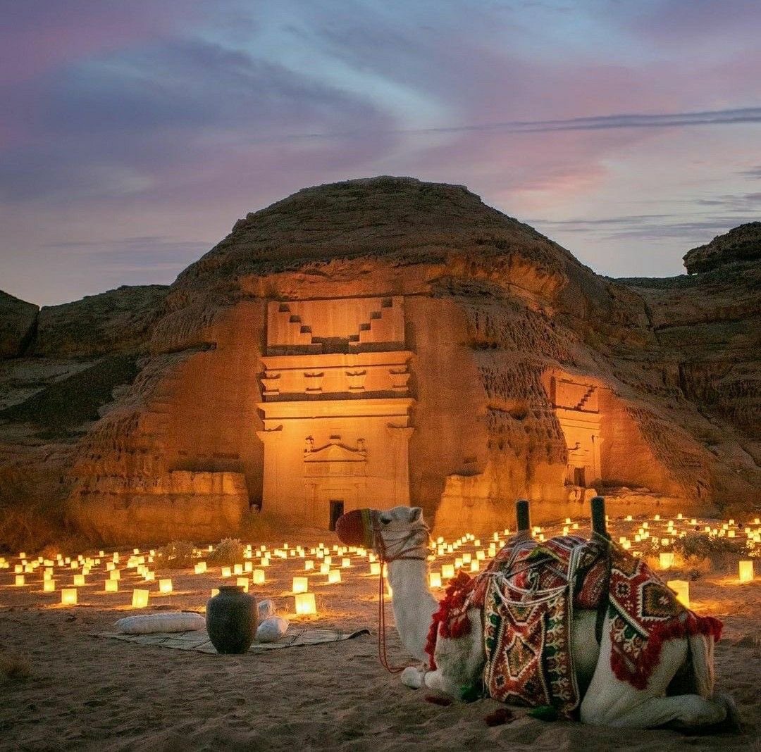 𝐕𝐄𝐍𝐔𝐒 tweet media