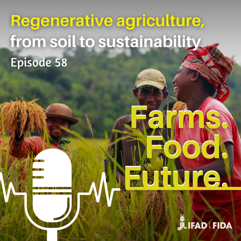 IFAD's tweet photo. Eradicating poverty and food insecurity isn't just about producing more, it's about producing better.  

Agriculture can conserve and regenerate the natural resources on which it relies. Hear it from Donal Brown, IFAD Associate Vice-President, in our podcast #FarmsFoodFuture 👇