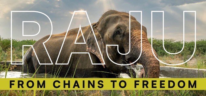 <a href="/elonmusk/">Elon Musk</a> <a href="/_johnnymaga/">johnny maga</a> #raju is same too